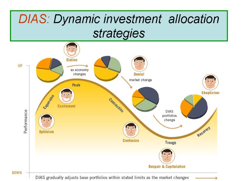 DIAS: Dynamic investment  allocation strategies